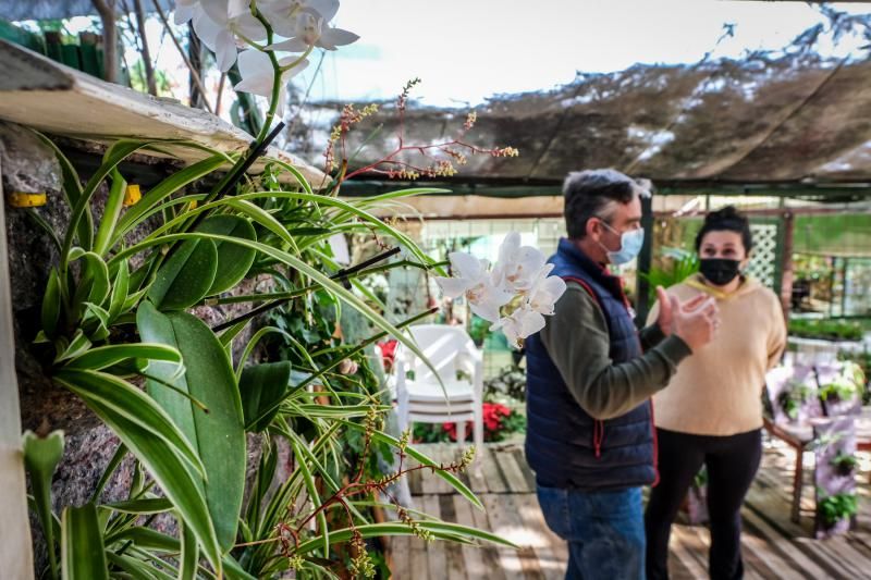 Ganador de Greenweekend Canarias, Pulmón Verde Canario