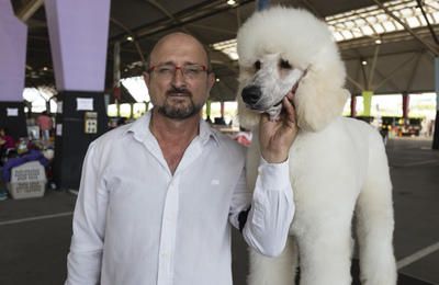 Castelló acoge el Campeonato de Belleza Canina