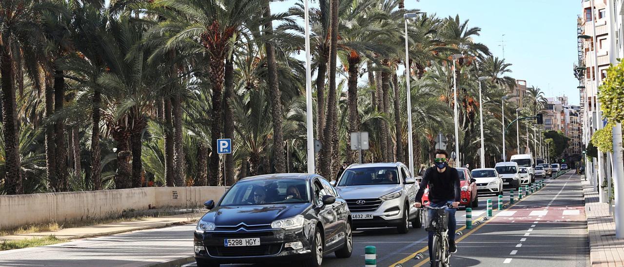 Aspecto de la avenida Juan Carlos I, con una parte del Palmeral a la izquierda, donde el tráfico a motor comparte espacio con las bicicletas desde hace unas semanas. |