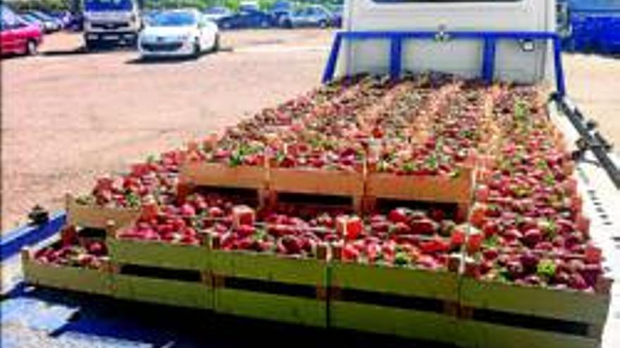 La policía local interviene 202 cajas de fresas