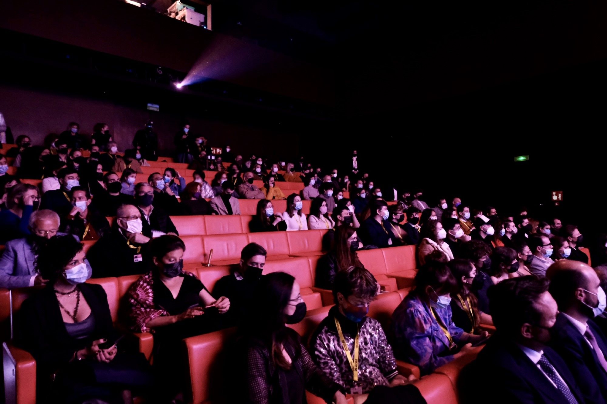 Entrega de premios a los cortometrajes del Festival de Málaga