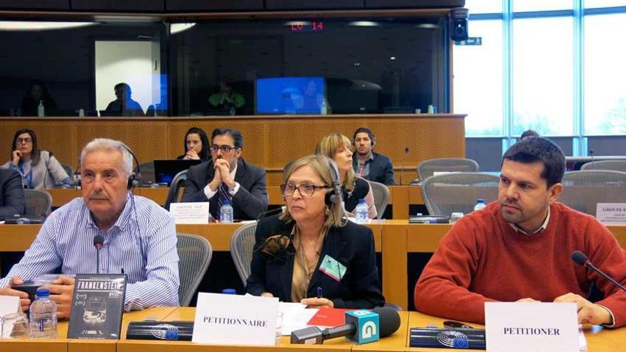 Asociación Plataforma Víctimas del Alvia 04155 en comisión de peticiones del Parlamento Europeo.