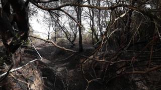 Vecinos del Saler: "Necesitamos el perímetro de seguridad para proteger nuestras casas, en caso de incendio"