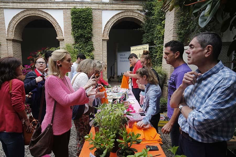 El Palacio de Viana de puertas abiertas