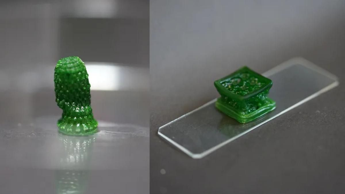 Los científicos han desarrollado un nuevo material "vivo", como el que compone estos objetos con algas creciendo en su interior.