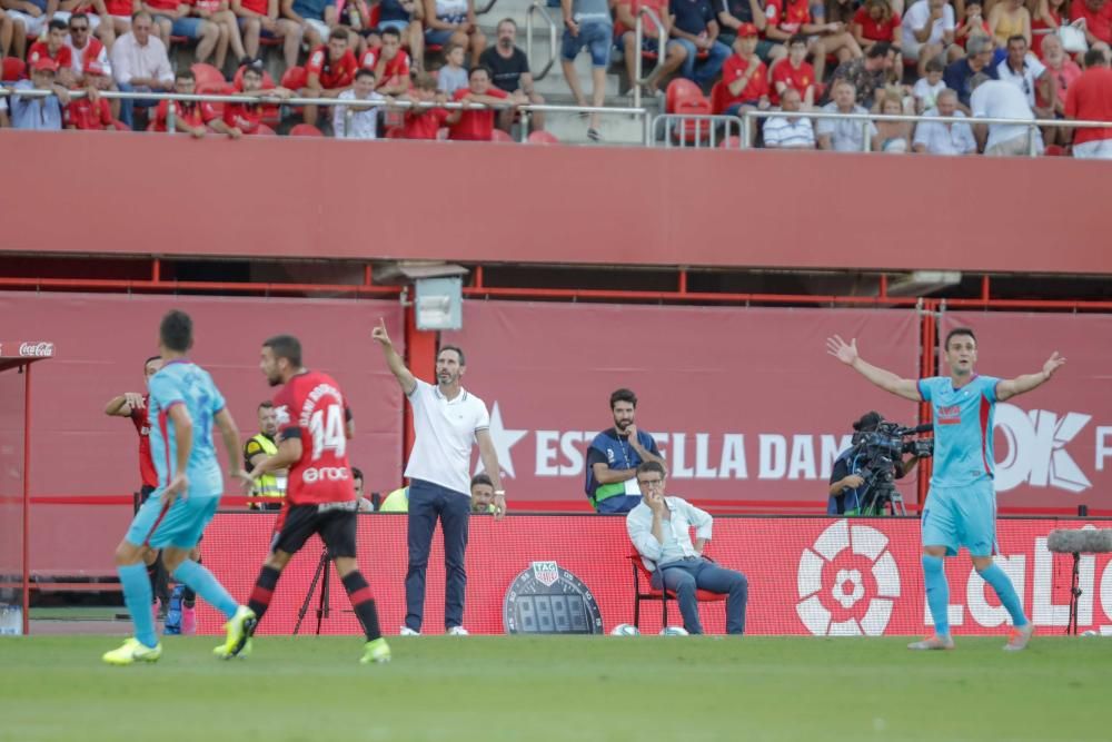 RCD Mallorca-Eibar: Estreno de Primera para el Mallorca