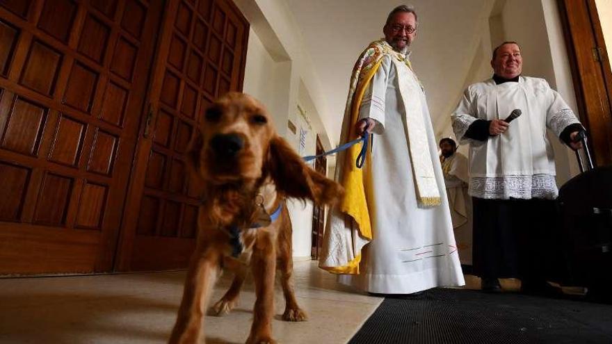 Jesús Niño con su mascota, el cachorro de cocker spaniel Bobi. // Gustavo Santos