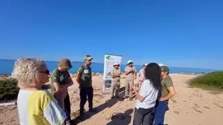 Retiradas seis toneladas de residuos de zonas protegidas del litoral de Ibiza y Formentera