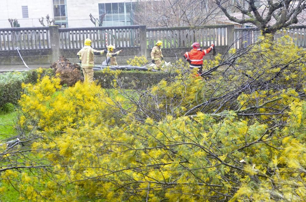 Las imágenes del temporal en A Coruña este sábado