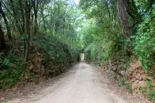 La Vía Verde más bonita de España pasa entre volcanes dormidos y acaba en la Costa Brava