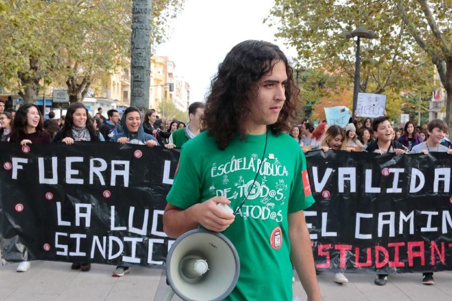 Manifestación contra la LOMCE en Zamora