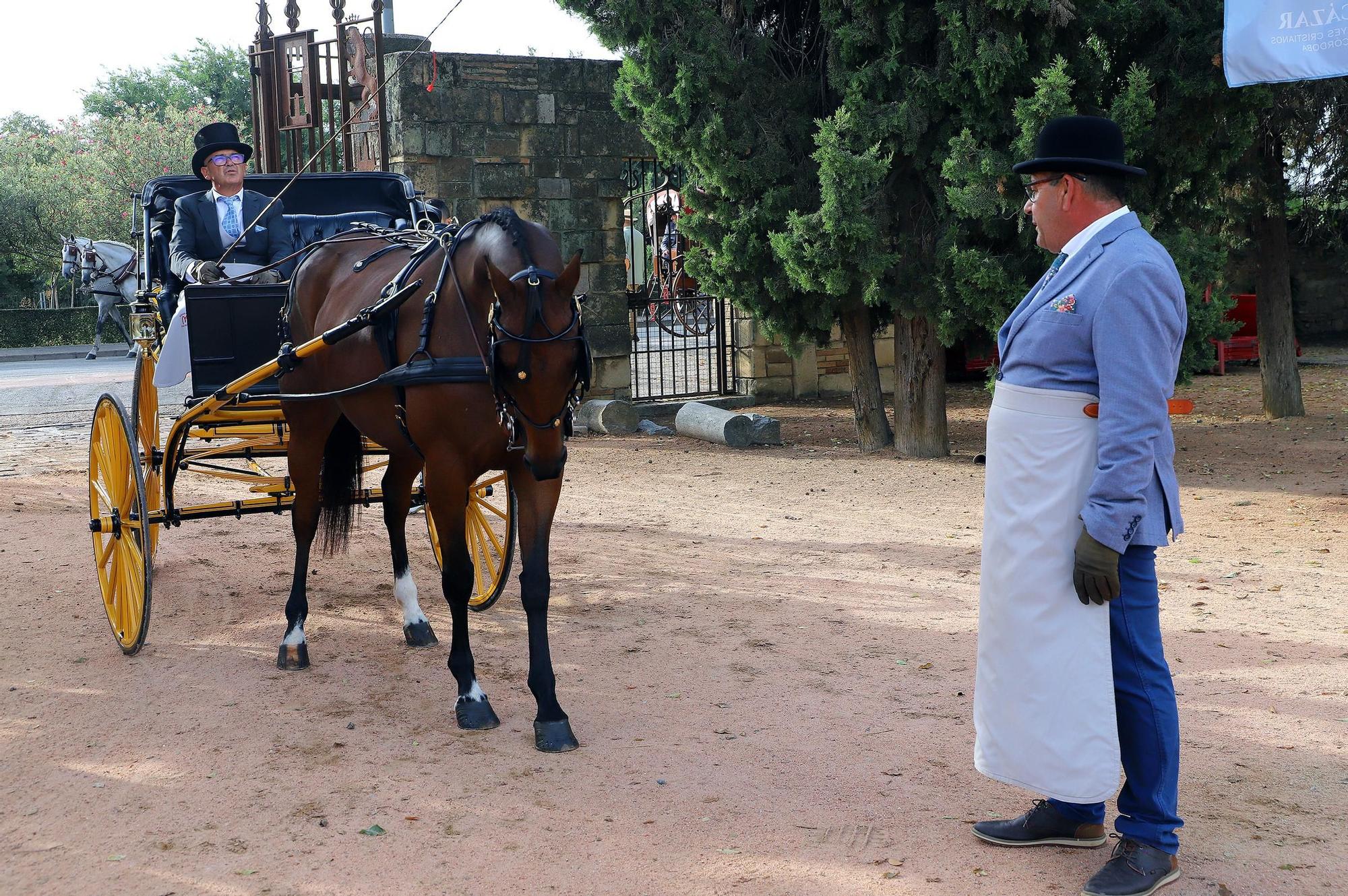 El carruaje reina en Córdoba