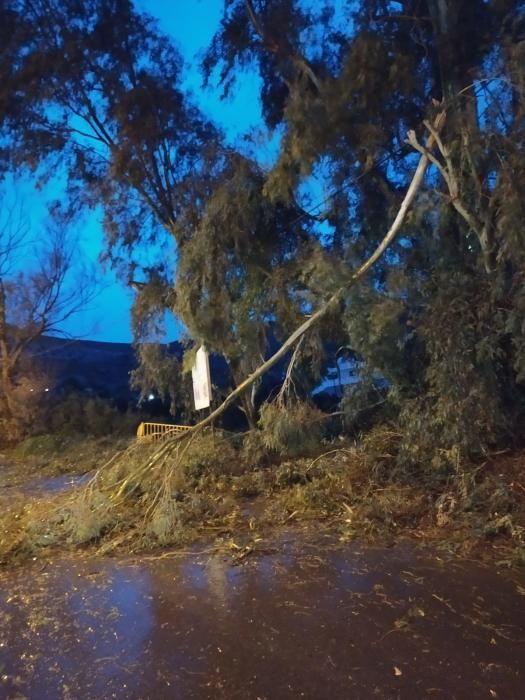 Daños por el temporal en El Campello