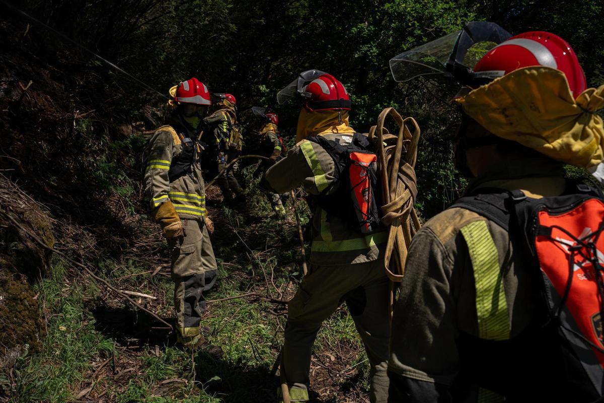 Axentes dos equipos de bombeiros traballan na extinción do incendio declarado esta semana en Crecente