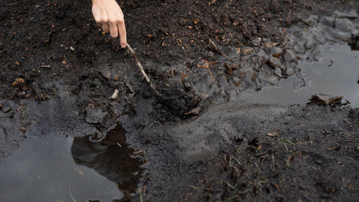 Las cenizas tras las lluvias 