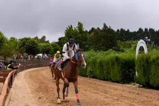 Copa de Hípica San Vicente Ferrer en Valleseco