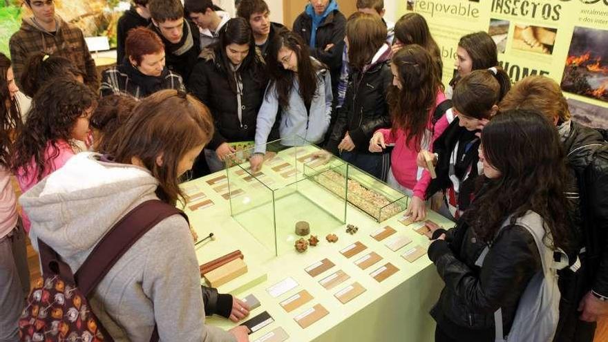 Imagen de archivo de estudiantes en una visita al Museo do Moble e da Madeira. // Bernabé/Luismy