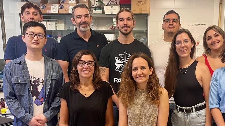 La UMH de Elche busca cómo frenar el deterioro cognitivo ligado a la cirrosis La UMH de Elche busca cómo frenar el deterioro cognitivo ligado a la cirrosis