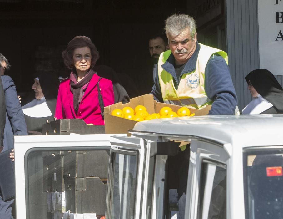 La Reina Sofía visita el Banco de Alimentos de Alicante