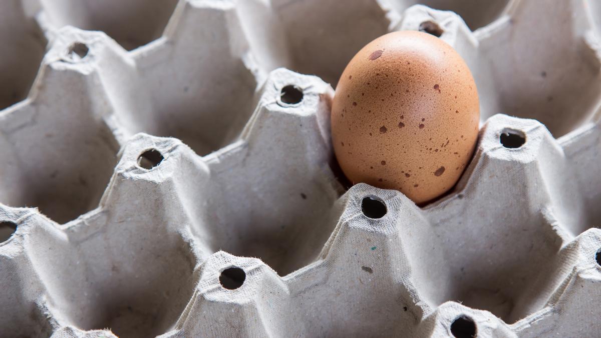 Cómo identificar huevos frescos y almacenarlos adecuadamente