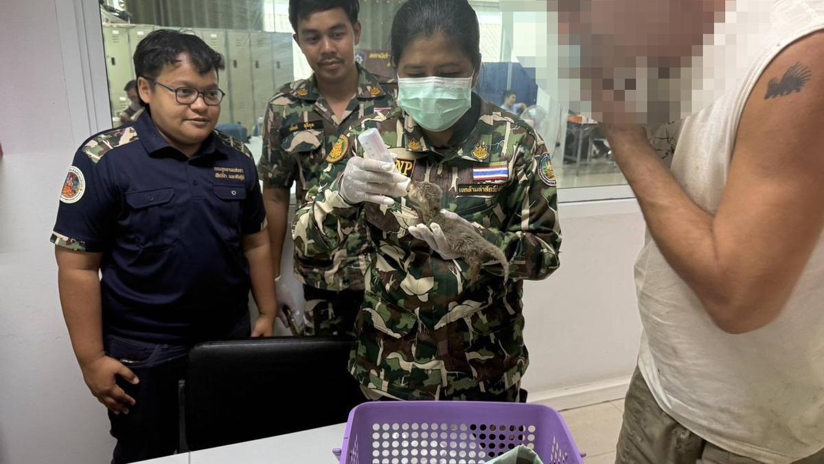 Frank Cuesta detenido en Tailandia.
