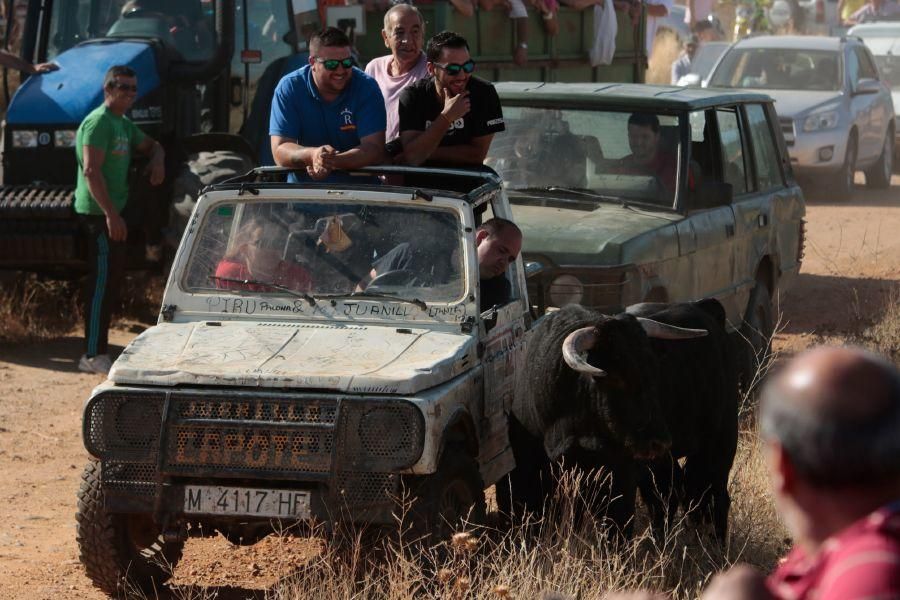 Fiestas en Zamora: Encierro en El Pego