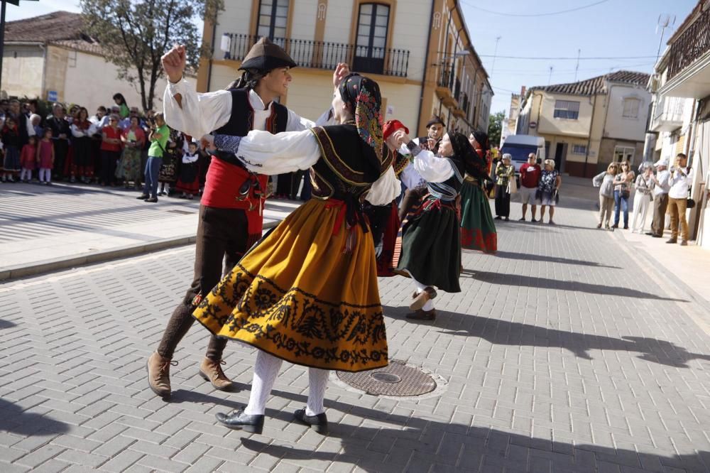 Día de la Provincia