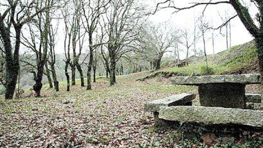 El proyecto también contempla una actuación sobre la carballeira del Campo do Medio. / bernabé / Patricia F.