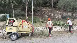 Més seguretat davant el foc: Alzira completa treballs de prevenció d'incendis forestals en les Valletes i el Racó