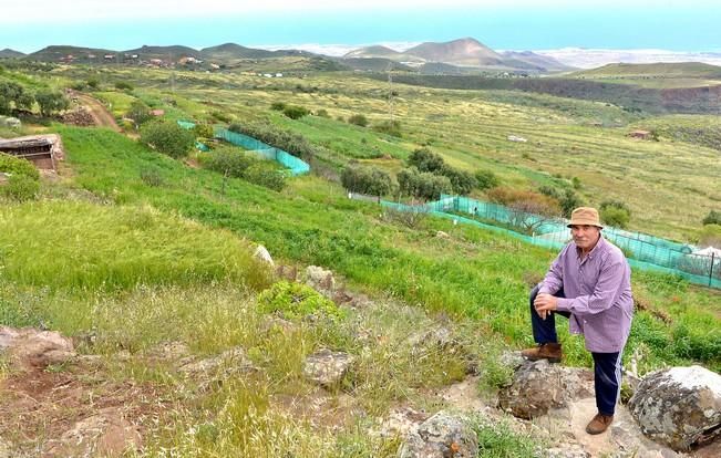 Pepe Guedes, agricultor orgánico