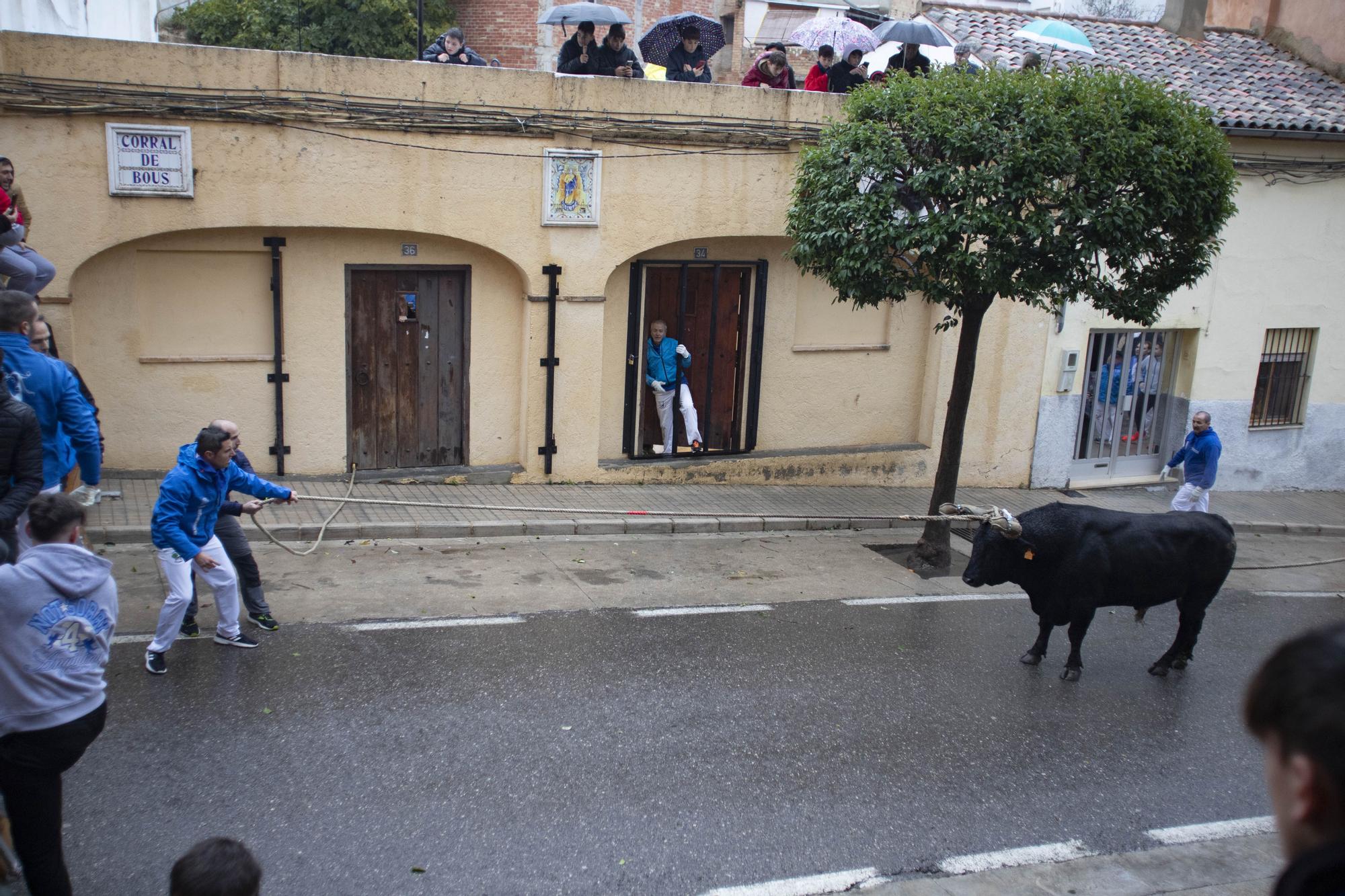 El "Bou en corda" vuelve al Pont Vell de Ontinyent