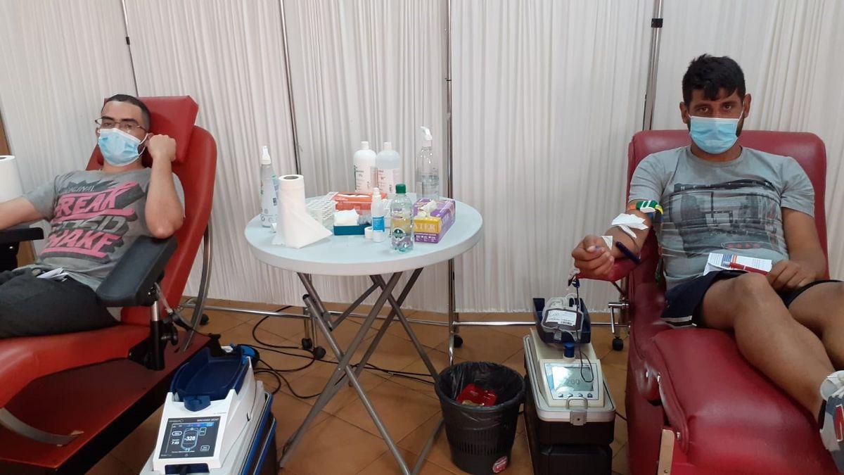 Dos hombres donan sangre en uno de los puntos de extracción de Canarias.