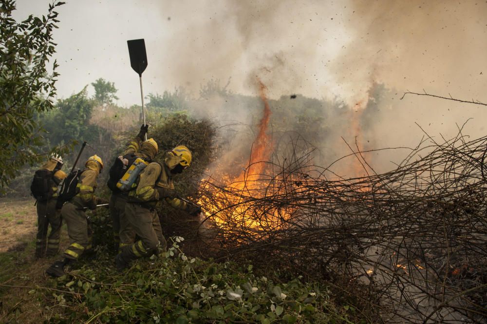 El fuego arrasa más de 3.000 hectáreas en Ourense