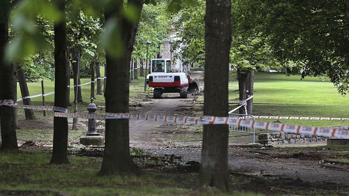 El paseo del parque del Pozón donde han sido cortados los aligustres. | Ricardo Solís