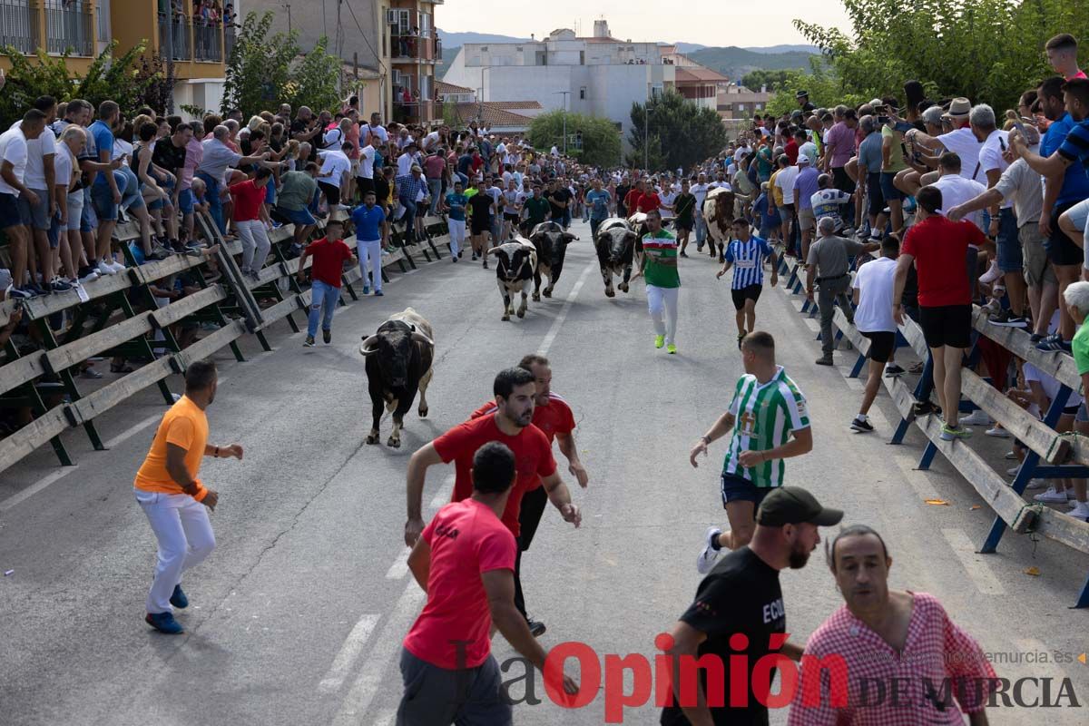 Primer encierro de la Feria del Arroz de Calasparra