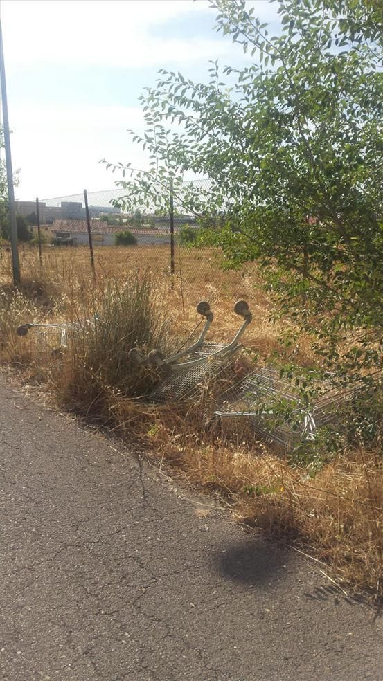 El robo en el refugio San Jorge de Cáceres