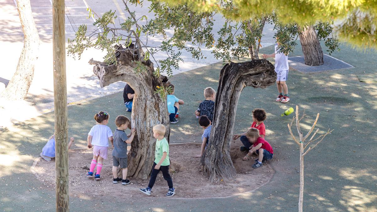 Niños de corta edad en el patio de un centro escolar de la provincia.