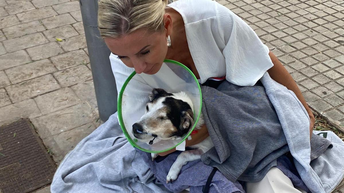 Die Mallorca-Auswanderer Peggy Jerofke und Steff Jerkel haben sich tagelang große Sorgen gemacht um ihre Hündin Kiki.