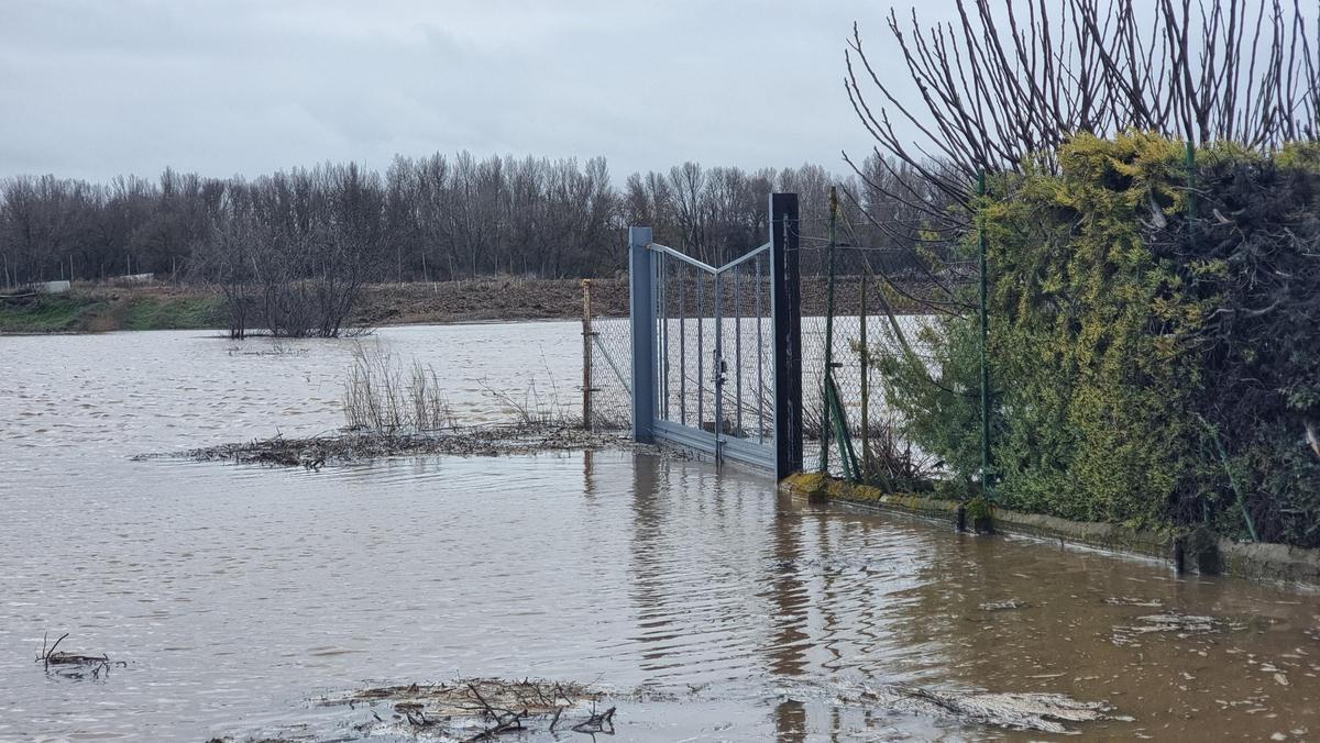 GALERÍA | La crecida del río Duero anega algunas zonas de Toro