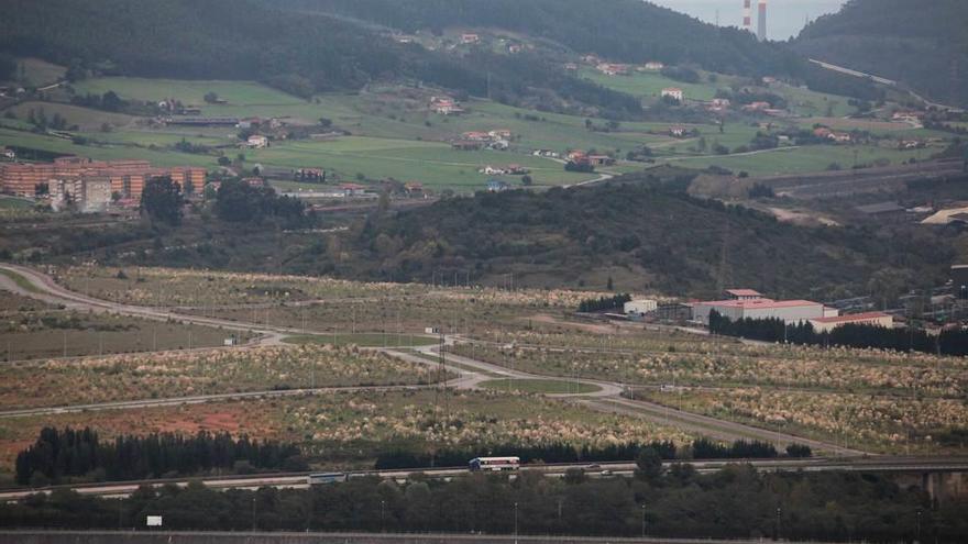 Terrenos de la primera fase de la Zalia.