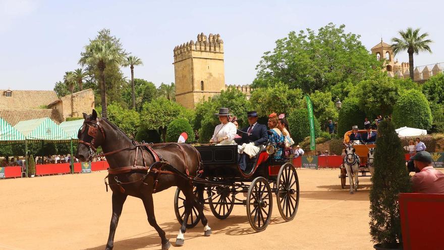 Carruajes de tradición se exhibirán en el Alcázar antes de pisar la Feria