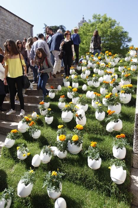 Últim dia de Temps de Flors