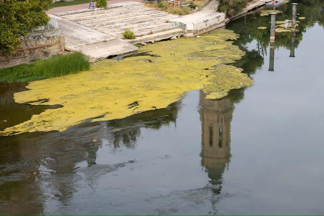 En imágenes I El río Ebro a su paso por Zaragoza en este mes de agosto