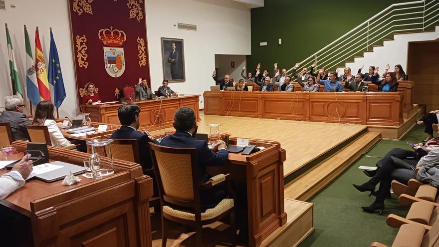 Pleno extraordinario del Ayuntamiento de Torremolinos.