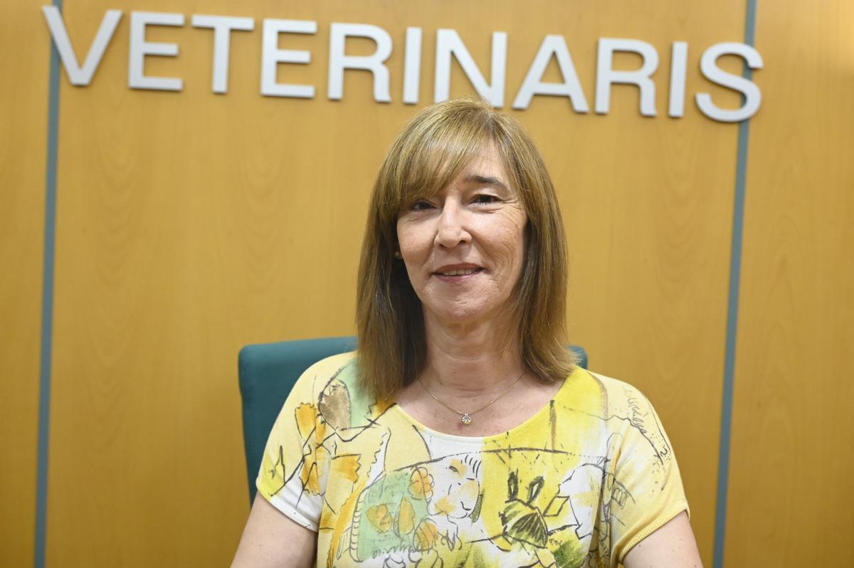 Presidenta del colegio de veterinarios de Castellón