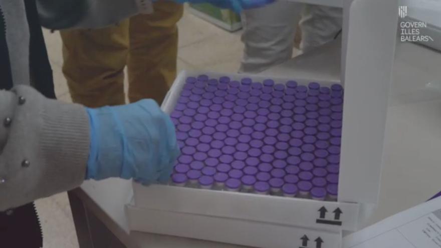 Llegan a Baleares 42.120 vacunas de Pfizer