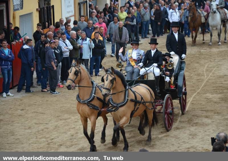 GALERÍA DE FOTOS -- La provincia vive la festividad de Sant Vicent