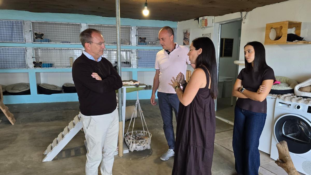 Visita al proyecto 'Villa Michis'