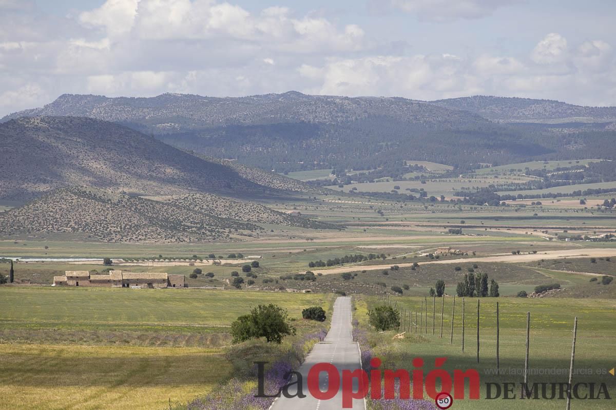 Romería de San Isidro en los Poyos de Celda de Caravaca