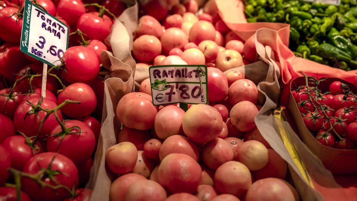 Original-oder-Hybrid-So-erkennen-Sie-echte-Ramallet-Tomaten-von-Mallorca